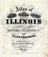 Illinois State Atlas 1876 